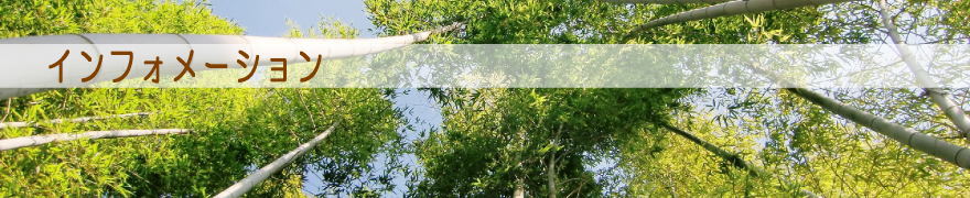 �C���t�H���[�V����